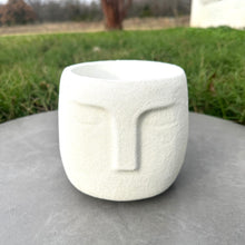 Load image into Gallery viewer, Airess Planter